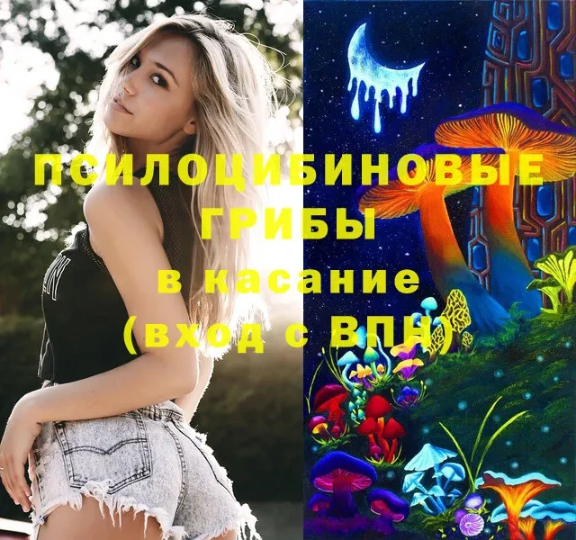 OMG   Кузнецк  даркнет как зайти  Псилоцибиновые грибы Psilocybe 